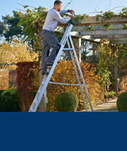 Step Ladders