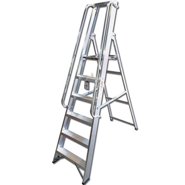 Professional Platform Steps with Handrails
