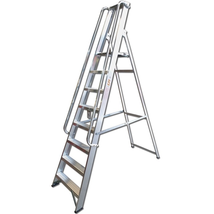 Professional Platform Steps with Handrails