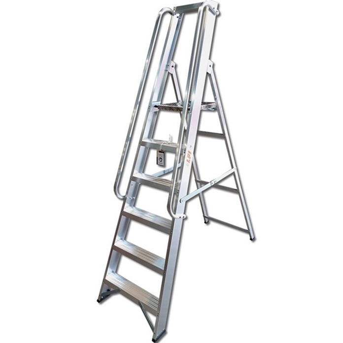 Professional Platform Steps with Handrails