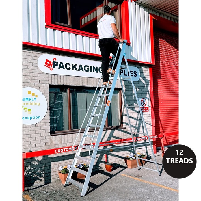 Professional Platform Steps with Handrails