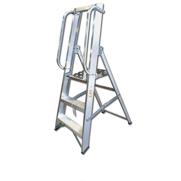 Professional Platform Steps with Handrails