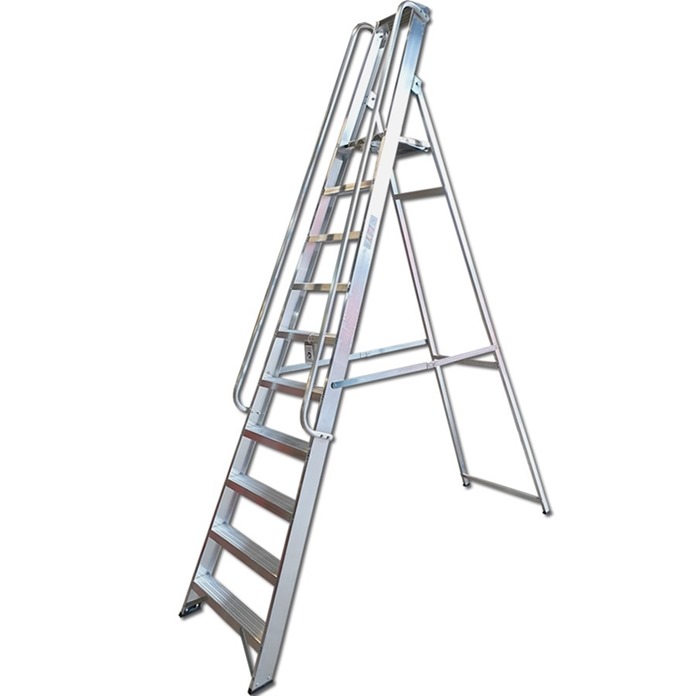 Professional Platform Steps with Handrails