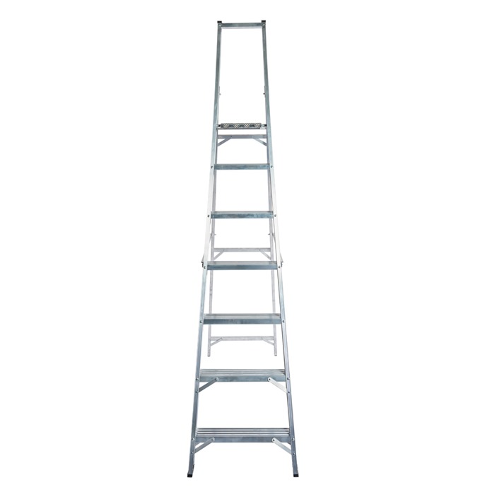 Professional Heavy Duty Platform Step Ladders