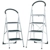 Folding Steps with Soft-Grip Handle