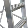 Professional Platform Steps with Handrails