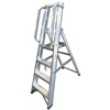 Professional Platform Steps with Handrails