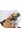 PETZL PIXA Headtorch 450 Lumens