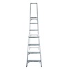Professional Platform Steps with Handrails