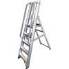 Professional Platform Steps with Handrails